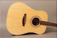 Акустическая гитара FLIGHT D-200 NA