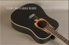Акустическая гитара FLIGHT WD-5 EAGLE BK Black Mat