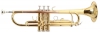 Труба ROY BENSON TR-101 Bb (цвет золото)