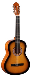 Акустическая гитара COLOMBO LC 3900 BS